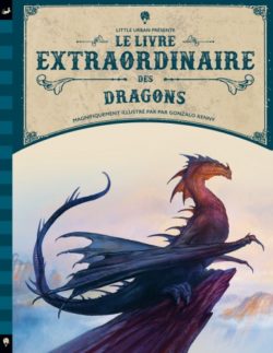 le-livre-extraordinaire-des-dragons