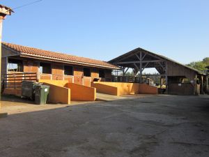 Poney-club-Sainte-Foy-la-Grande