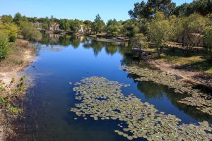 ile-aux-enfants-hourtin-port