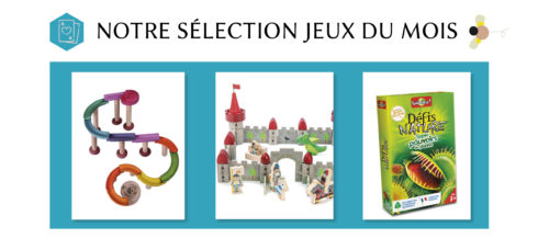 sélection jeux du mois janvier