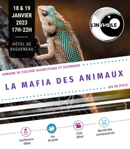 la mafia des animaux3