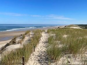 reserves-naturelles-dunes-et-marais-dhourtin