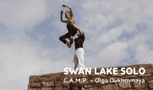 swan lake solo