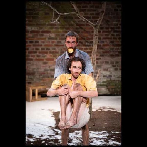 Nous, la forêt ou comment se planter