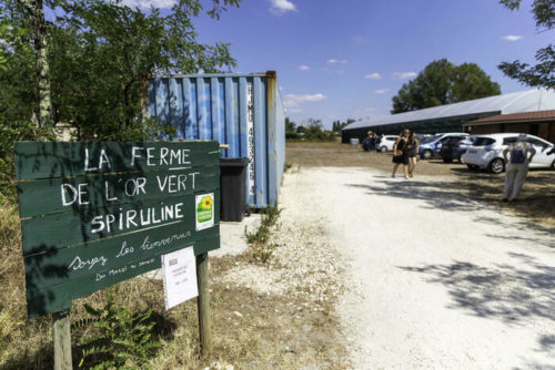 Ferme l'or vert