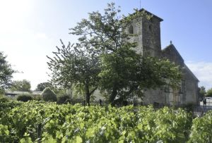 saint-aubin-du-medoc