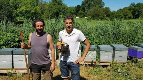 visite d'exploitations agricoles