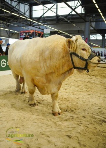 salon-de-l-agriculture-bordeaux