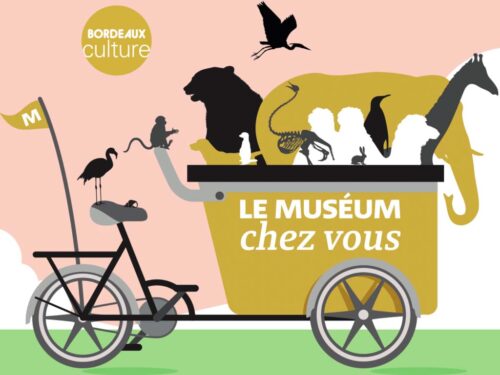 Affiche du Muséum chez vous