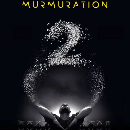 Murmuration-Level-2