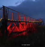 La nuit des carrelets à Terres d'Oiseaux