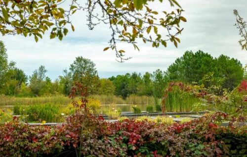 lecture-et-jardin-botanique