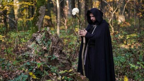 Conte-fantastique-dans-la-forêt-de-Camicas