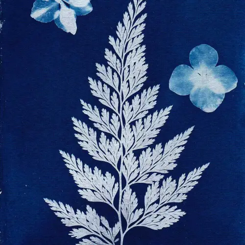 Fleurs Bleues