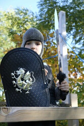 Le-chevalier-de-la-toison-dor