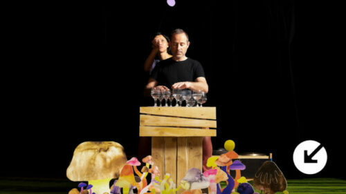 Le-silence-des-champignons
