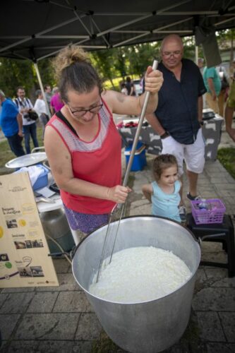 Découverte-de-la-petite-bergerie-et-fabrication-de-fromage