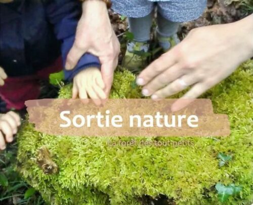 La-forêt-des-tout-petits