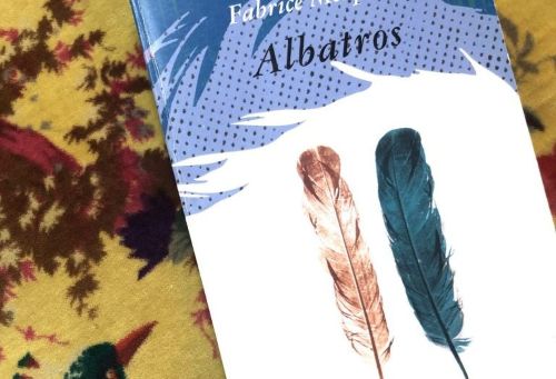 Lalbatros