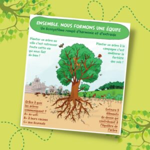 Larbre-et-son-ecosysteme
