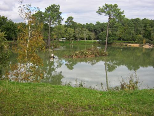 Parc-de-la-chapelle-Cestas-Gazinet