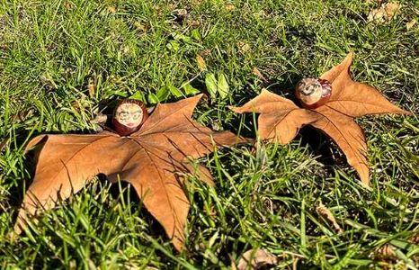 atelier-bricolage-malagar