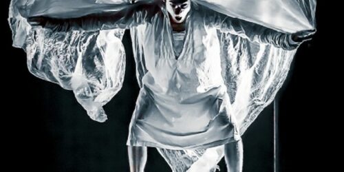 Le-délirium-du-papillon