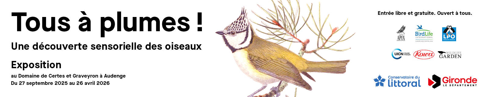 departement33-tous-a-plumes