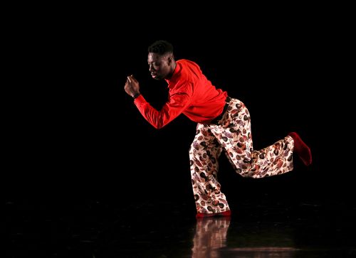 superstrat-Ann-Nguyen