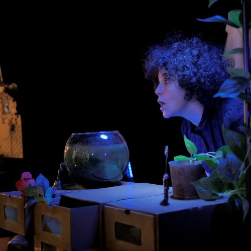 Une-chaussure-dans-le-bocal-aquarium