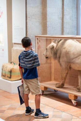 musee-national-des-douanes