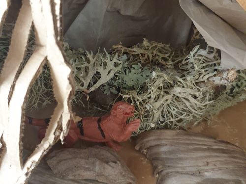 le Tigre Reveur atelier tigre