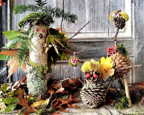 Créatures-de-la-nature