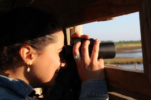 apéro terres d'oiseaux