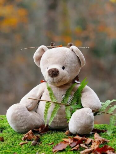 charlie-et-la-peluchologie