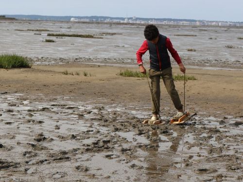 les-trésors-cachés-à-marée-basse