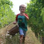 portes ouvertes cormeil-figeac 2