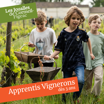 apprenti-vigneron-chateau-figeac-ete