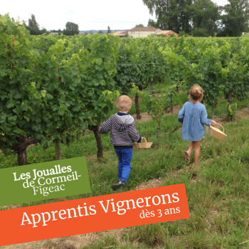 apprenti-vigneron-au-chateau-figeac