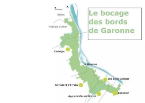 Bocage-humide-des-bords-de-Garonne