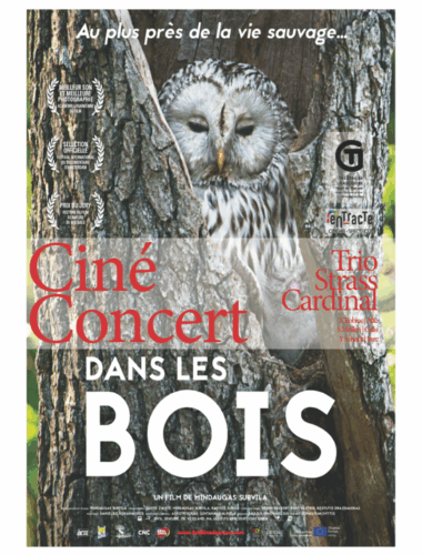 Ciné-concert-dans-les-bois