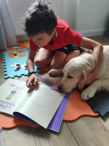 Lire-avec-un-animal