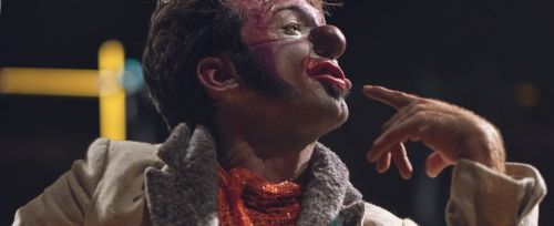 Espèce-didiot-galapiat-cirque