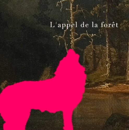 Lappel-de-la-forêt